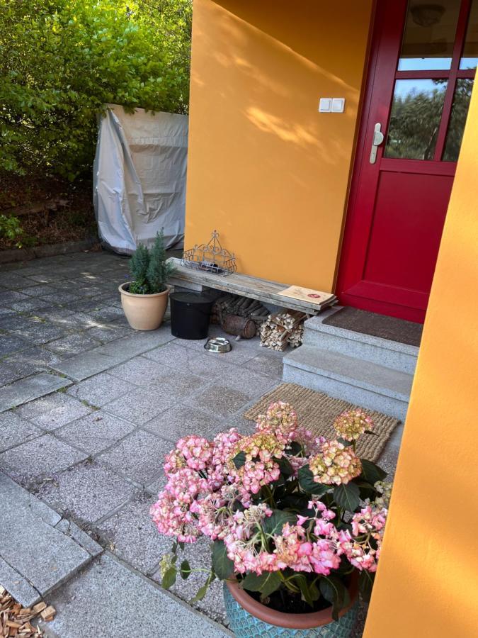 Kleines Harz-Chalet Neuwerk  Eksteriør billede