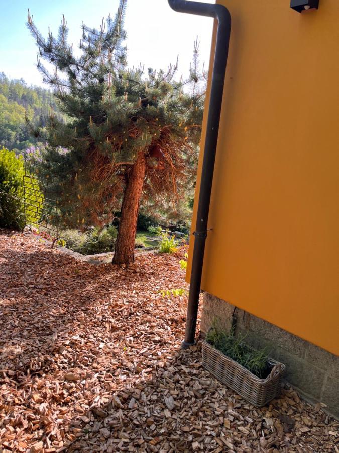 Kleines Harz-Chalet Neuwerk  Eksteriør billede