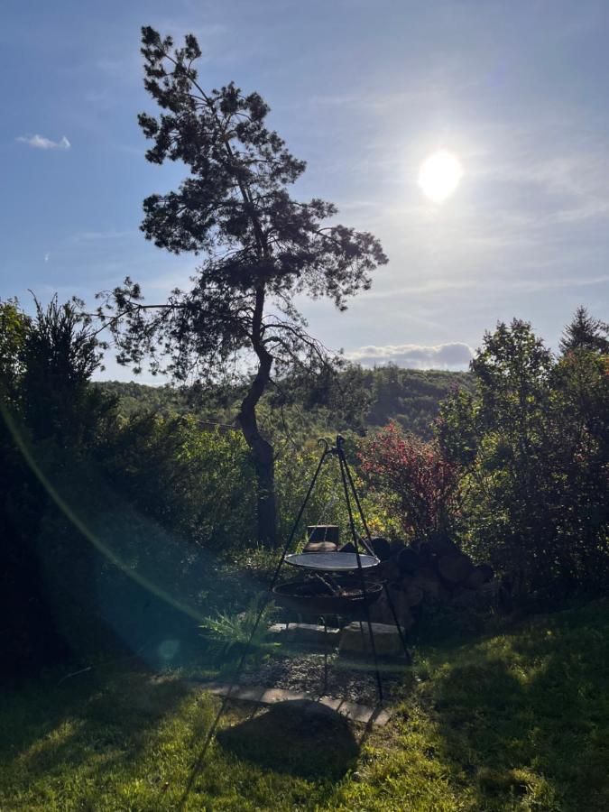 Kleines Harz-Chalet Neuwerk  Eksteriør billede